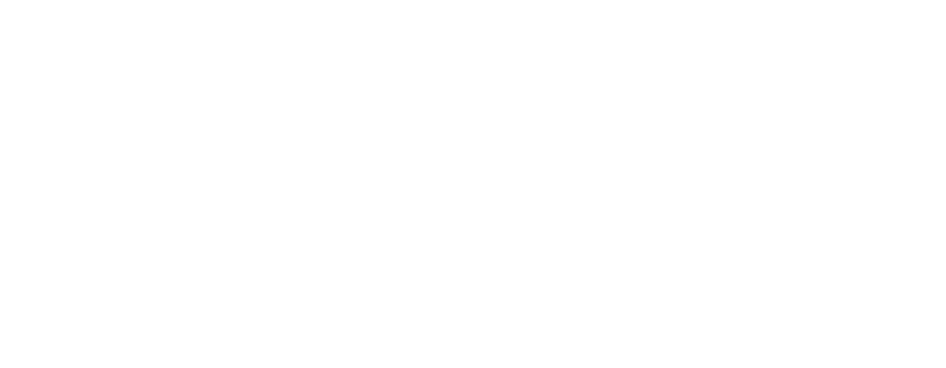 CIG Logo (white)